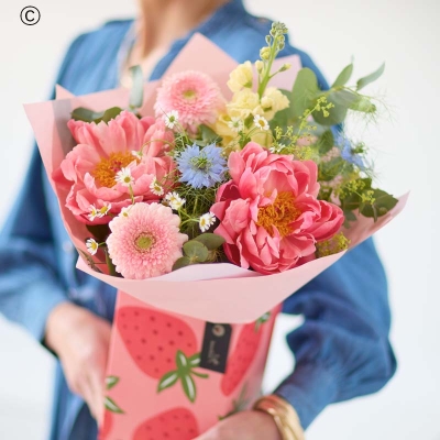 Peony Perfection