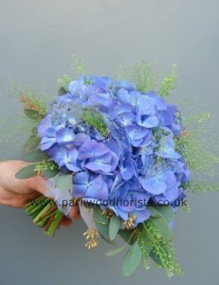 Blue Hydrangea  WBRI011